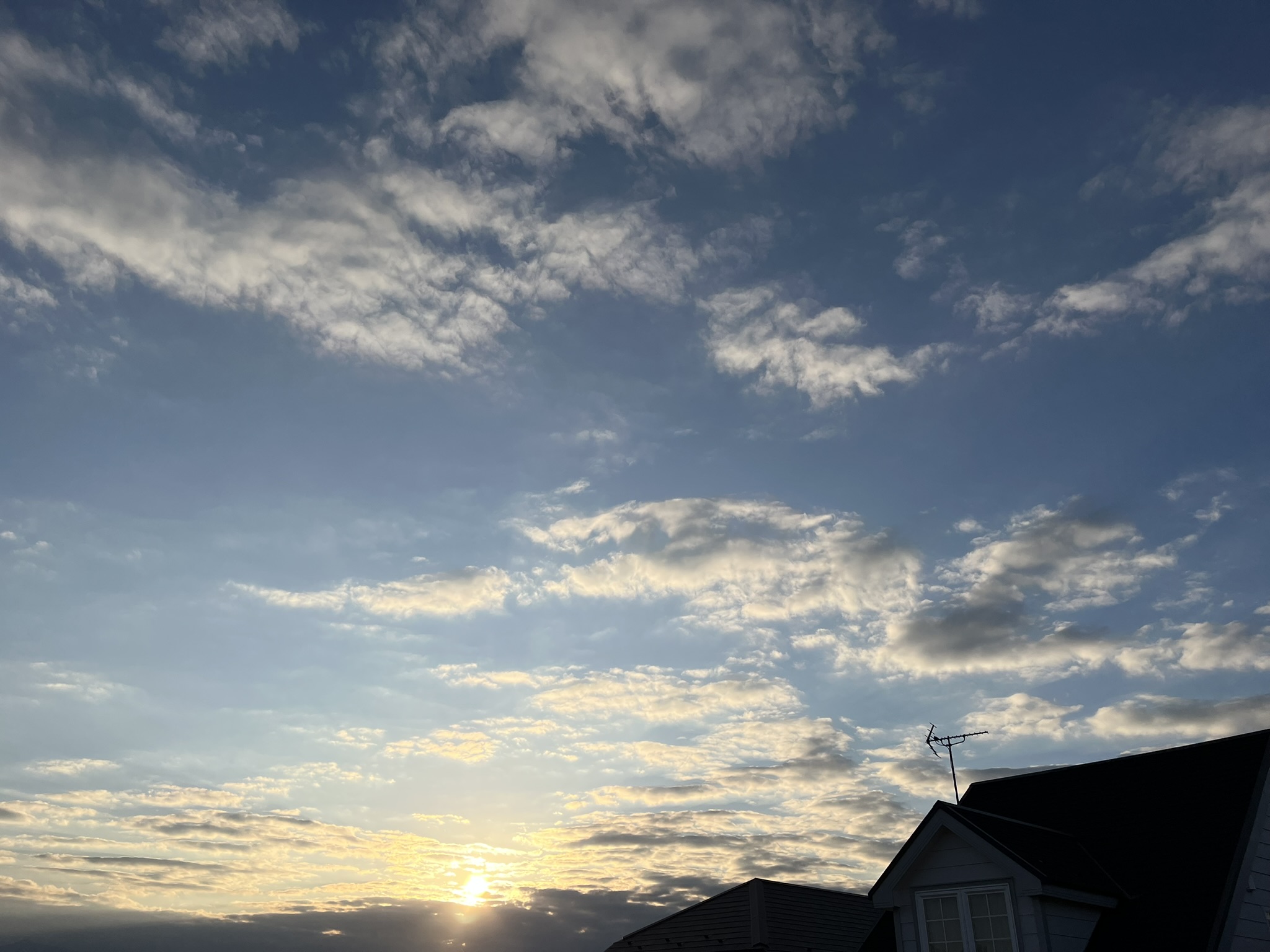 hairU【ハイル】ジェルグリースはどんな香り？ジェルとグリースの違いは何？